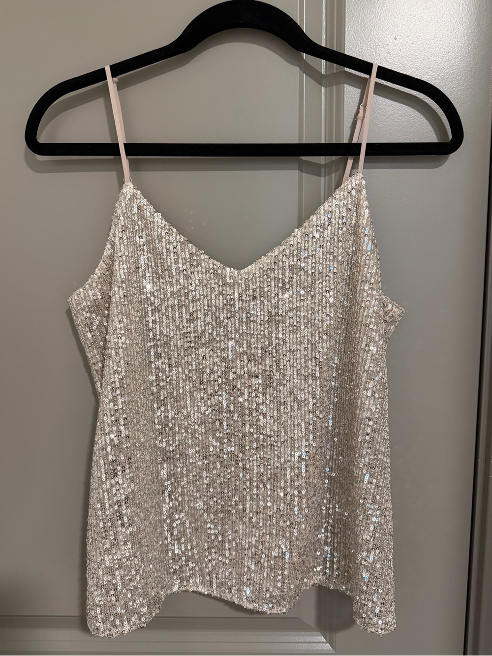 Banana Republic Sequin Tank (S)